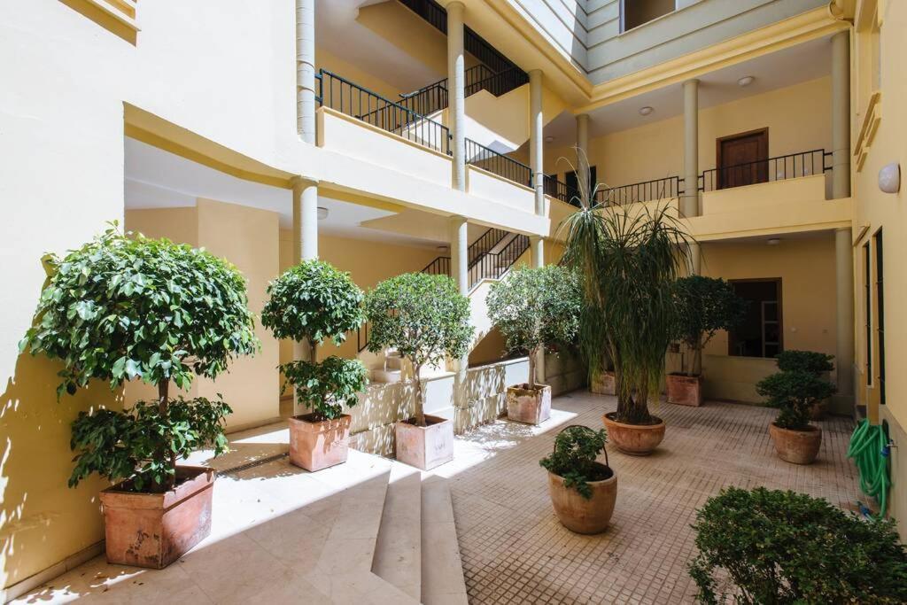 Cozy And Well Located Apartment In The Center Of Sewilla Zewnętrze zdjęcie